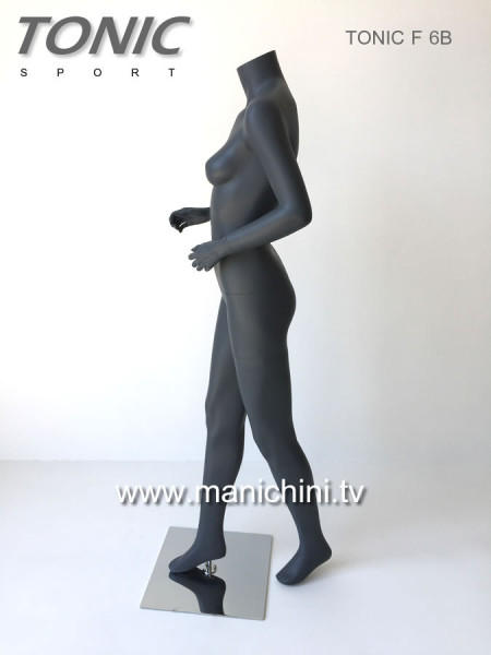 MANIQUIES ECONOMICOS