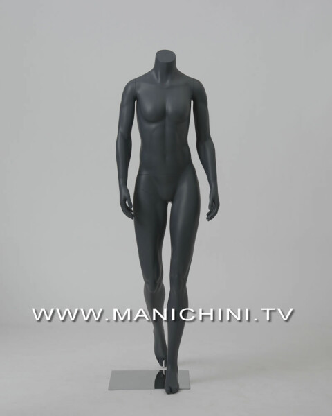 MANIQUIES ECONOMICOS