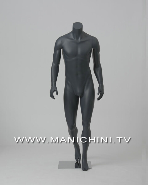 MANIQUIES ECONOMICOS